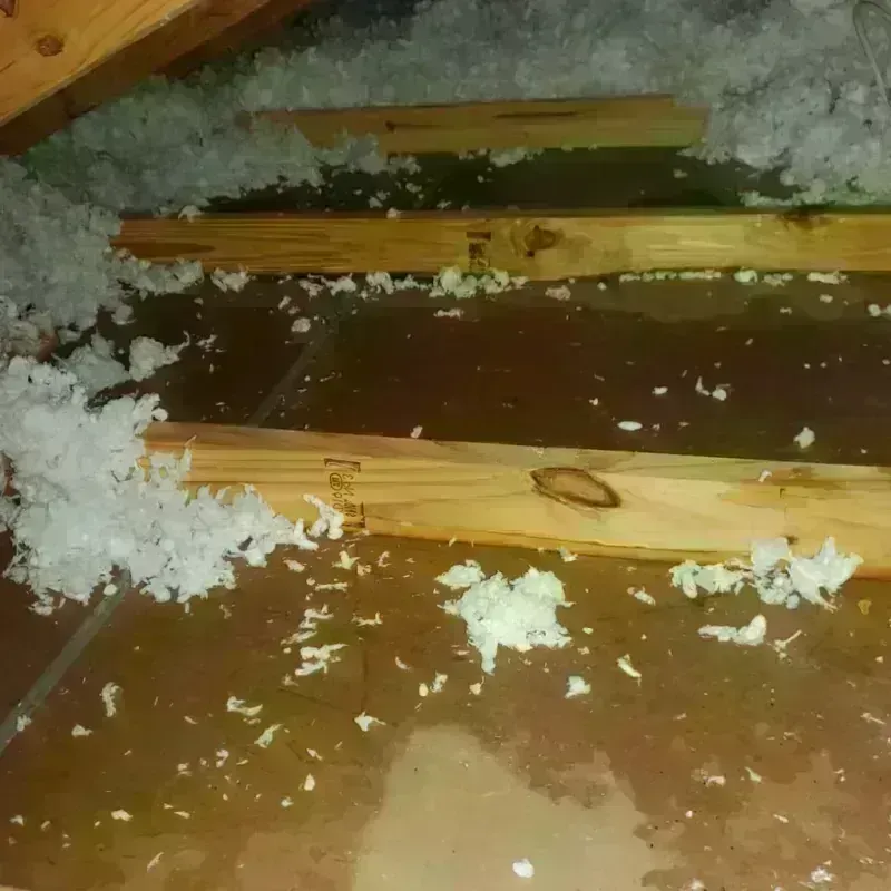 Attic Water Damage in Lake Catherine, IL