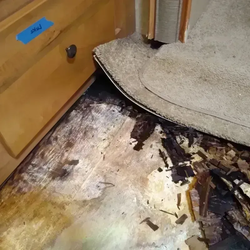 Wood Floor Water Damage in Lake Catherine, IL